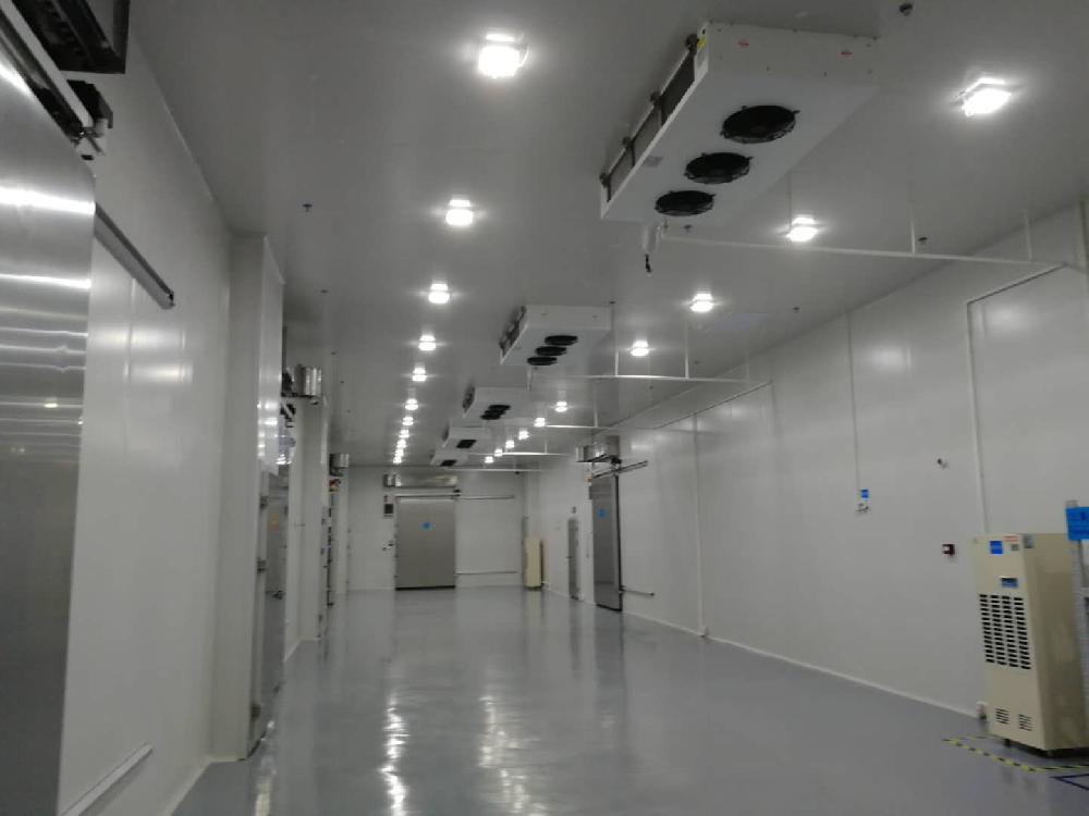 建設2000m3血漿蛋白冷藏庫安裝費用價格需要多少？