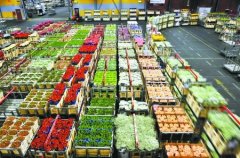 800平米鮮花保鮮冷庫(kù)安裝費(fèi)用是多少？