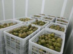 4000立方氣調(diào)冷庫(kù)安裝要多少錢？