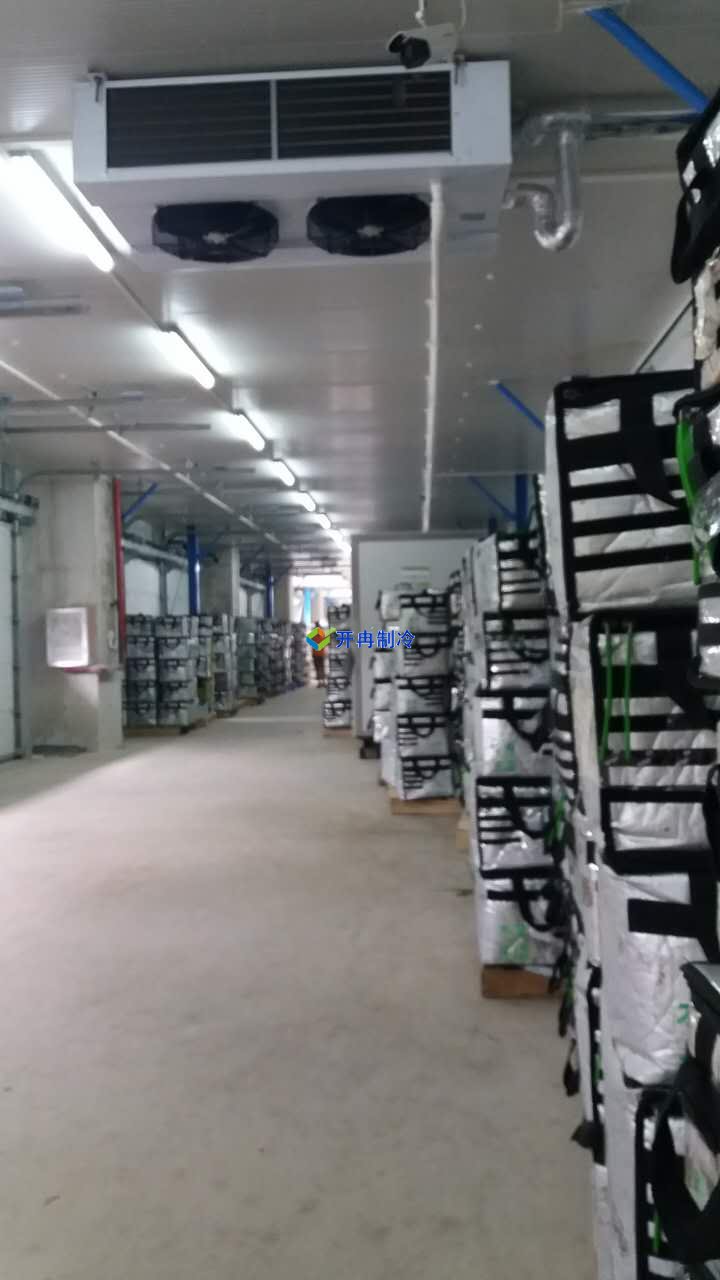 豬肉加工車間冷凍庫建設(shè),排酸冷庫設(shè)計(jì)規(guī)劃方案