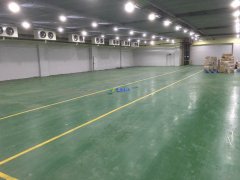 700平米水果冷庫造價多少，0-5℃保鮮庫建造一平價格