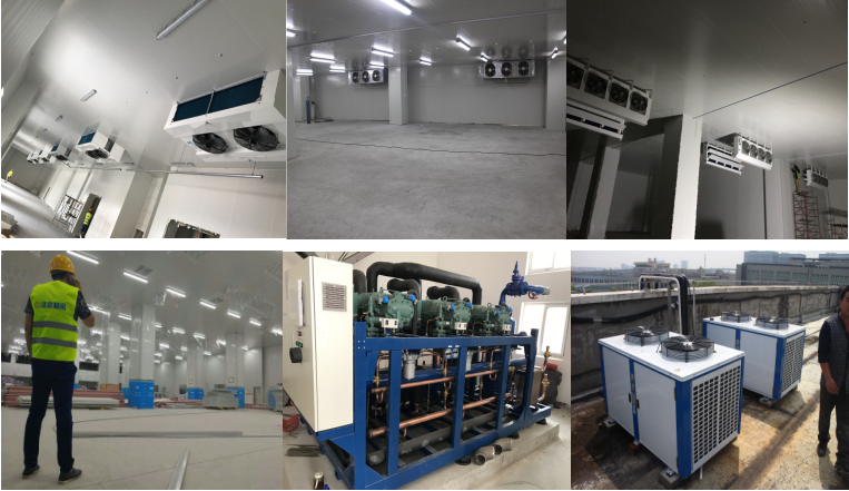 http://www.rhxq3kti.cn/gongchenganli/shipin/1230.html