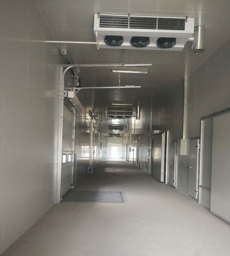 -25℃低溫海鮮魚肉加工廠冷凍庫安裝設計標準費用多少？