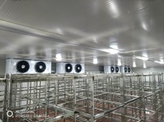 冷凍庫造價一平米價格怎么算？凍庫一立方的造價是多少錢